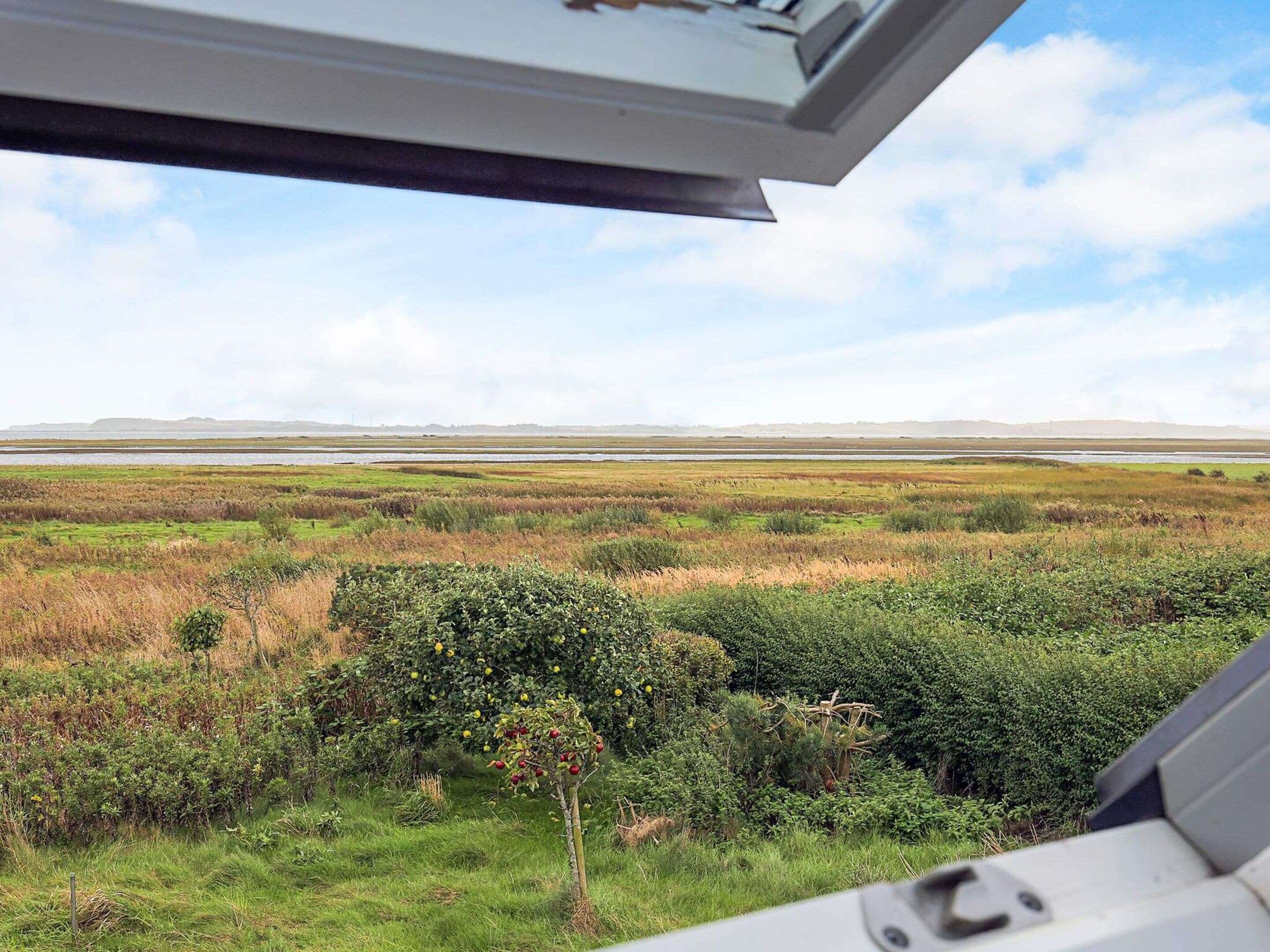 Blick aus einem Fenster auf eine sumpfige Landschaft mit weiter Ferne.