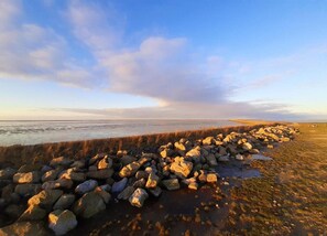 House | View from property