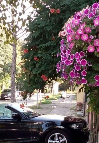 Holiday Apartment Sunshine