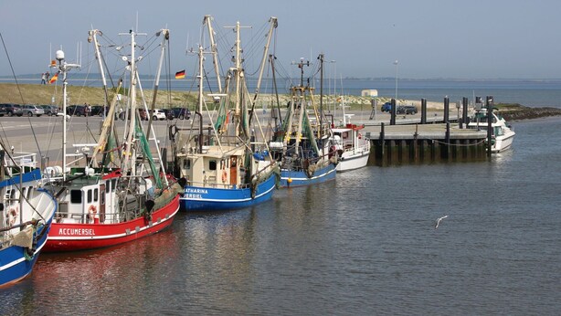 Un port où sont amarrés plusieurs bateaux de pêche, avec une jetée et une vue dégagée sur la mer.