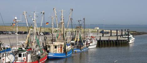 Lägenhet | Utsikt från boendet