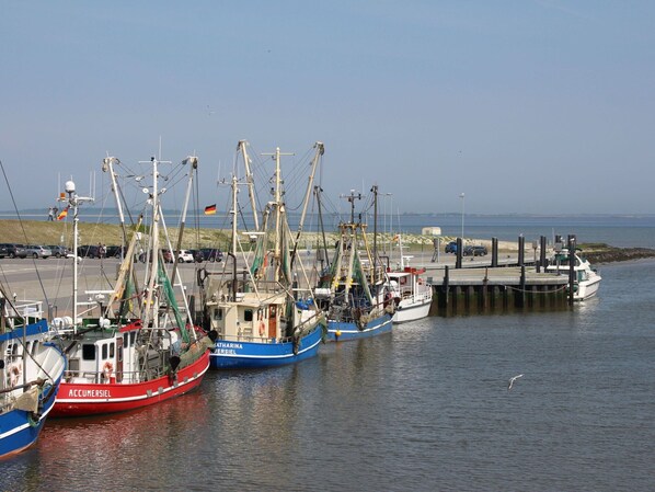 Lägenhet | Utsikt från boendet