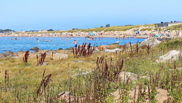 Une plage où l’on voit des gens nager et bronzer, un rivage rocheux et des dunes en arrière-plan.