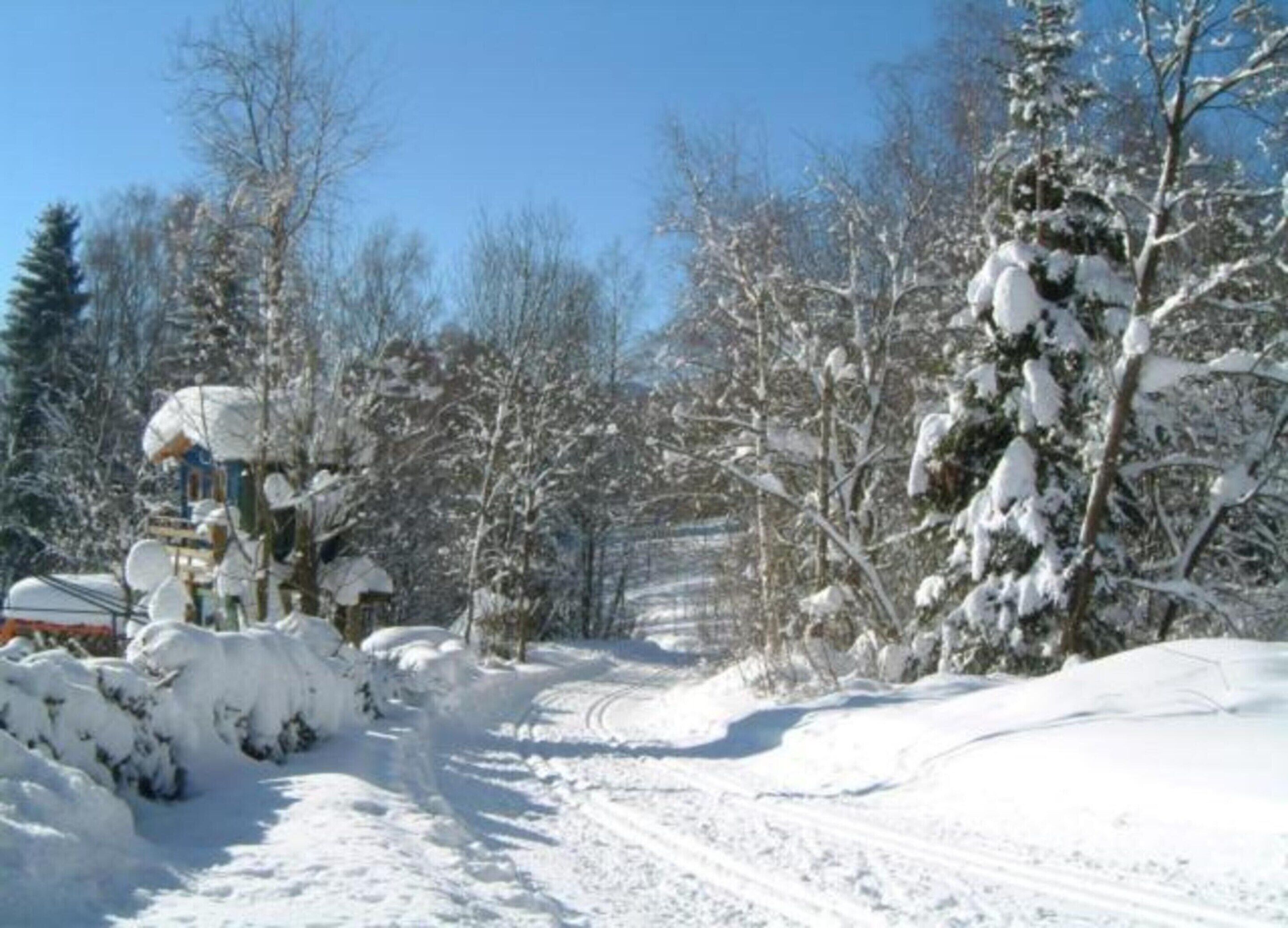 En snötäckt stig leder fram till en byggnad med ett snötäckt tak, och den omges av träd.