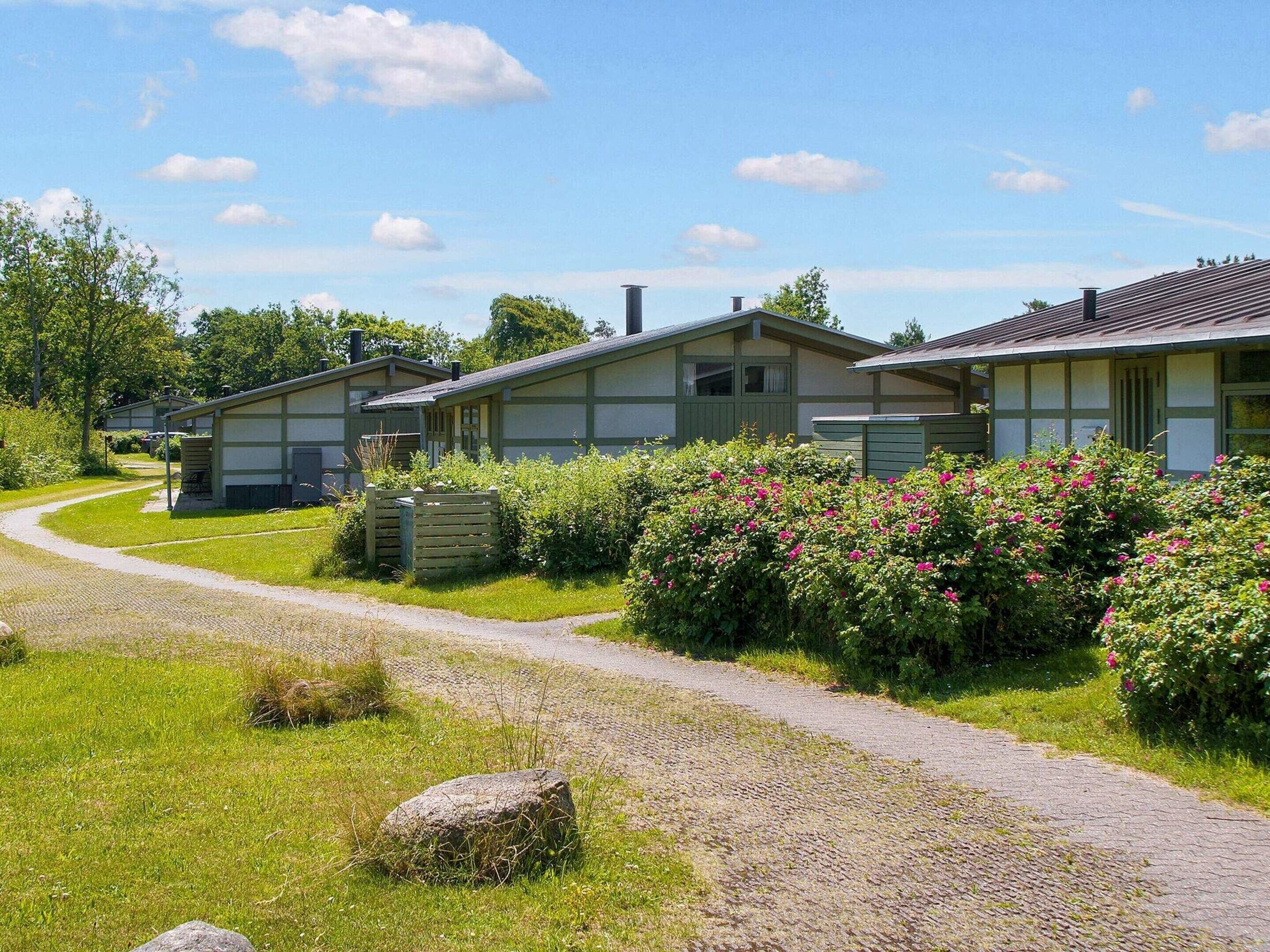 A row of single-story buildings with a gravel path leading to them, surrounded by greenery and bushes.