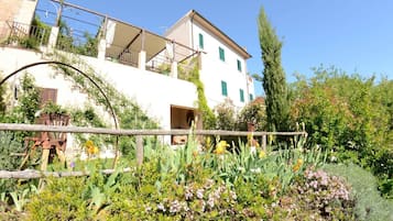 Cottage | Terrein van de accommodatie