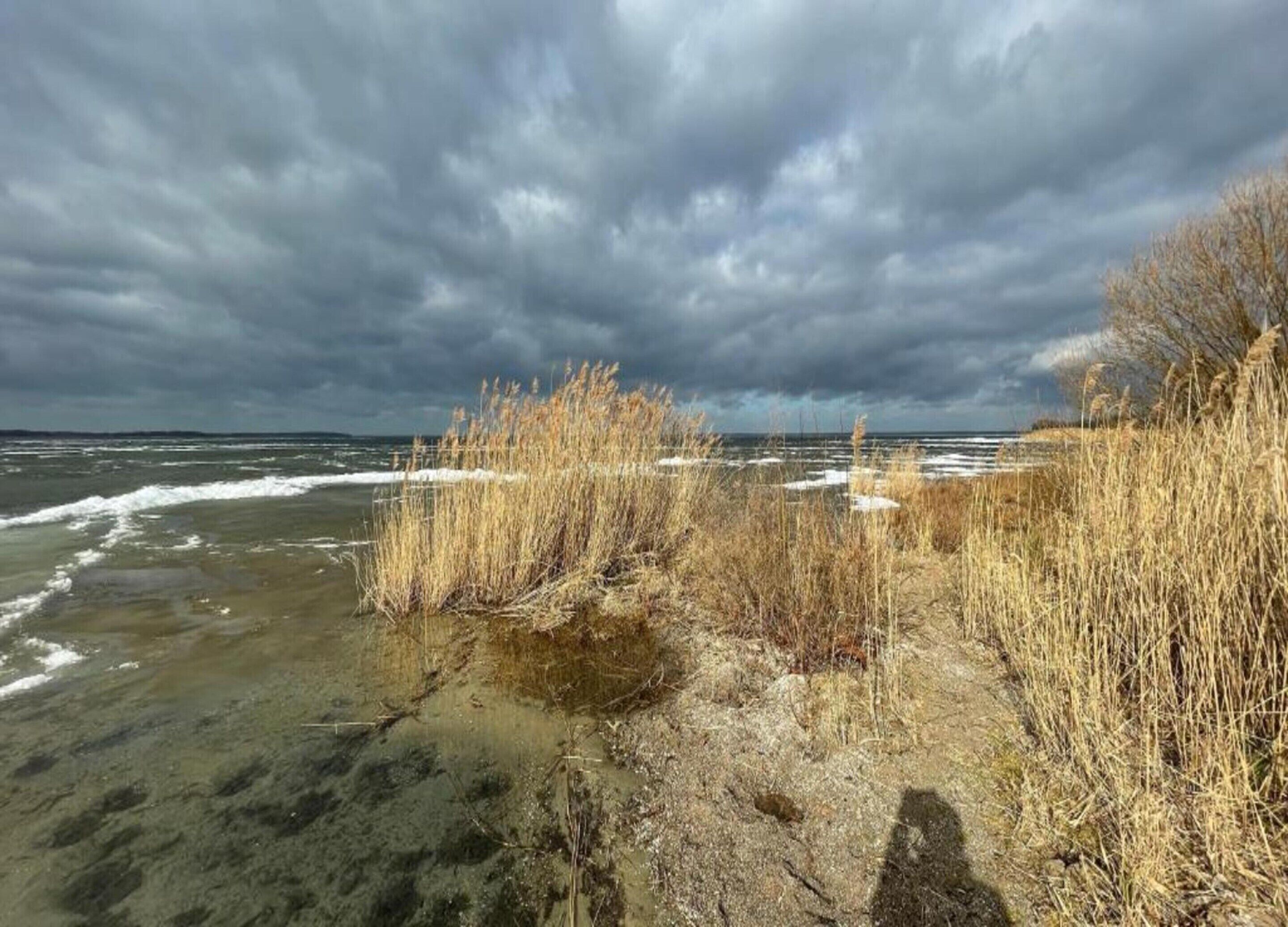 A beach with dry grass and waves crashing onto the shore under a cloudy sky.