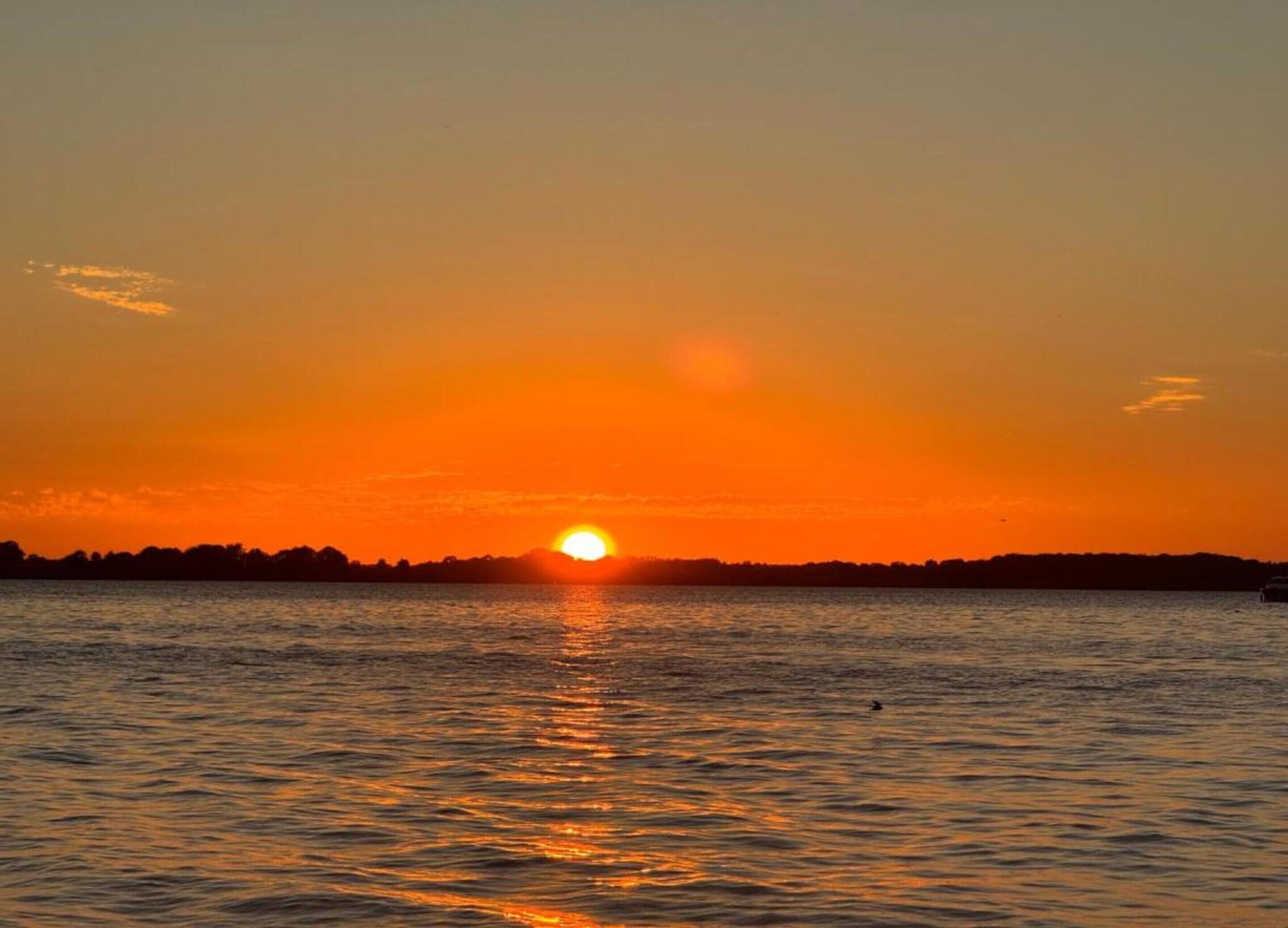 Un tramonto su acque calme, con la silhouette di alberi all'orizzonte.