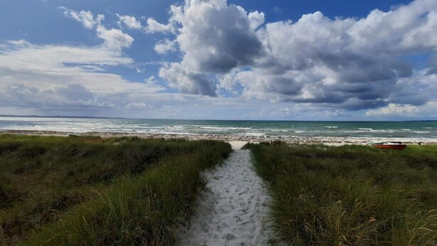 A beach path leading to the ocean with a boat on the shore. - Cozy Retreat in Stenstrup - By Traum Ferienwohnungen (Hojby)