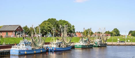 House | View from property