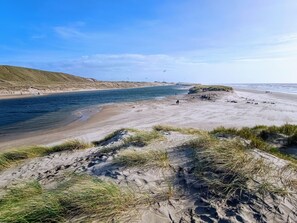Casa | Vista des de l'allotjament