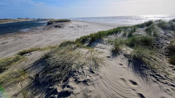 Ein Strand mit Dünen und blauem Himmel.