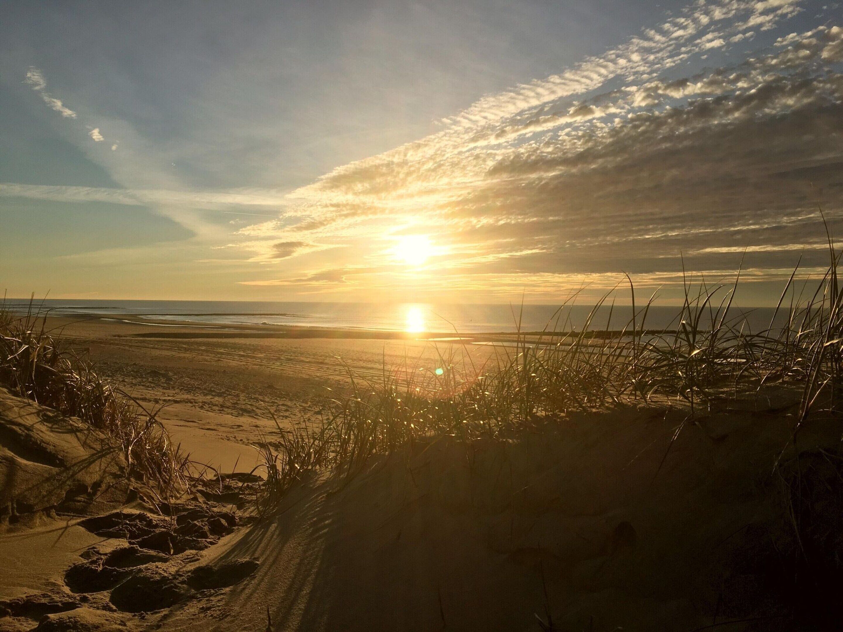 A beach with the sun setting over the horizon, casting a warm glow.
