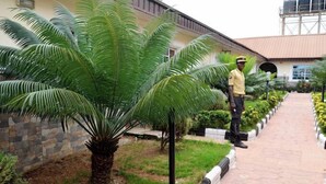 A well-maintained outdoor area with a palm tree, a stone wall, and a paved walkway. - Peninsula Suites  (Bwari)