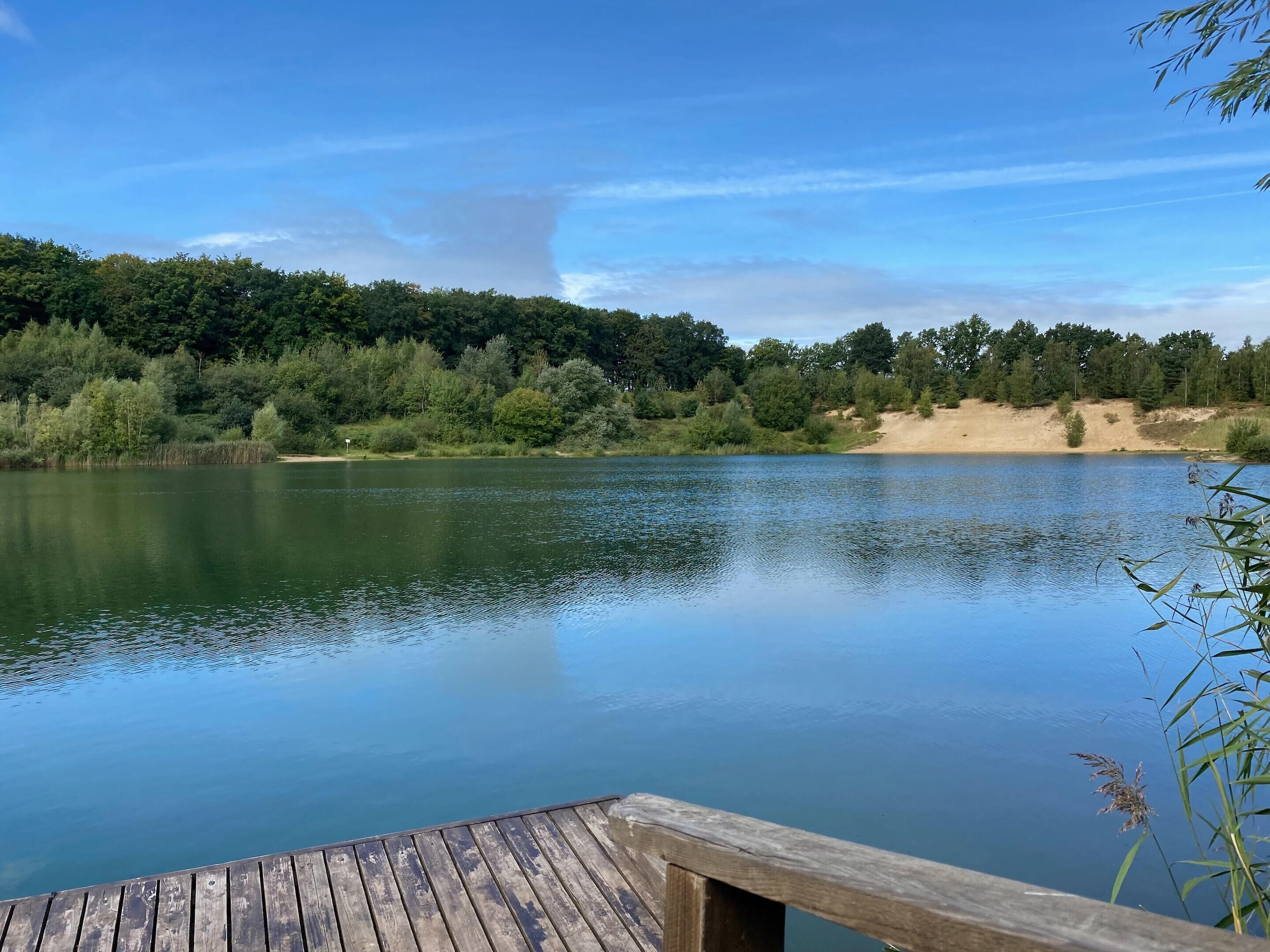 A calm lake with a wooden dock extending into the water, surrounded by dense trees and a clear sky.
