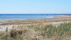 Una spiaggia con cielo sereno, acqua calma e vegetazione rada.