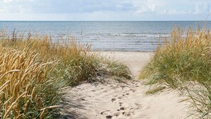 A sandy beach path leading to the sea, surrounded by tall grass. - 4 Person Holiday Home in Falkenberg (Falkenberg)