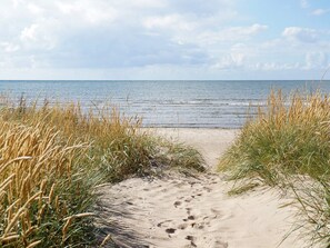 A sandy beach path leading to the sea, surrounded by tall grass. - 4 Person Holiday Home in Falkenberg (Falkenberg)