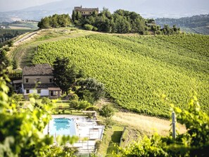 A vineyard with a house and a swimming pool. - Apartment in Grottammare With Jacuzzi & Garden (Ripatransone)