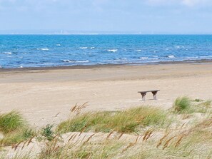 Beach - 4 Star Holiday Home in Mellbystrand (Mellbystrand)