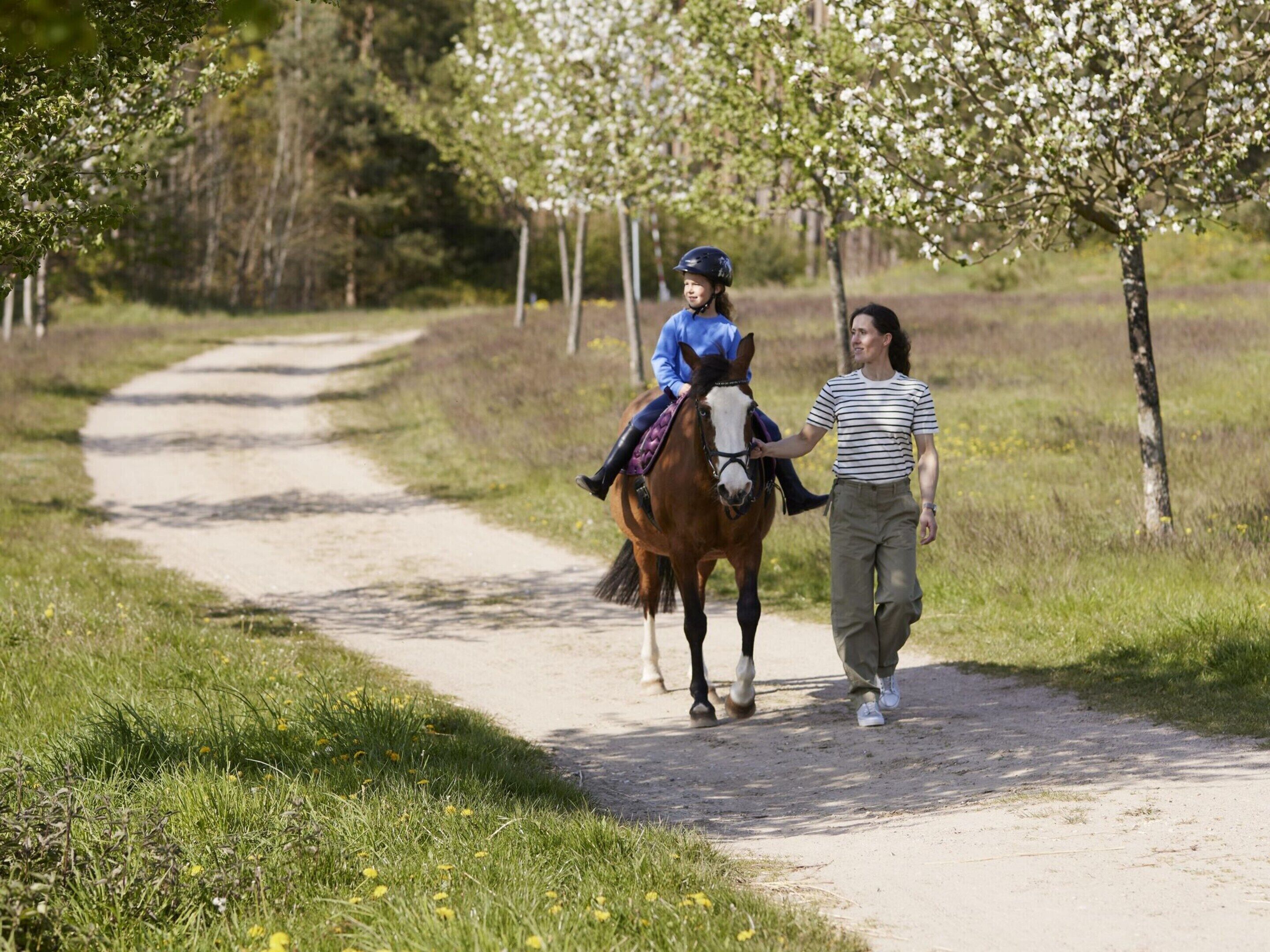 A pathway with a horse and rider, surrounded by greenery and trees.