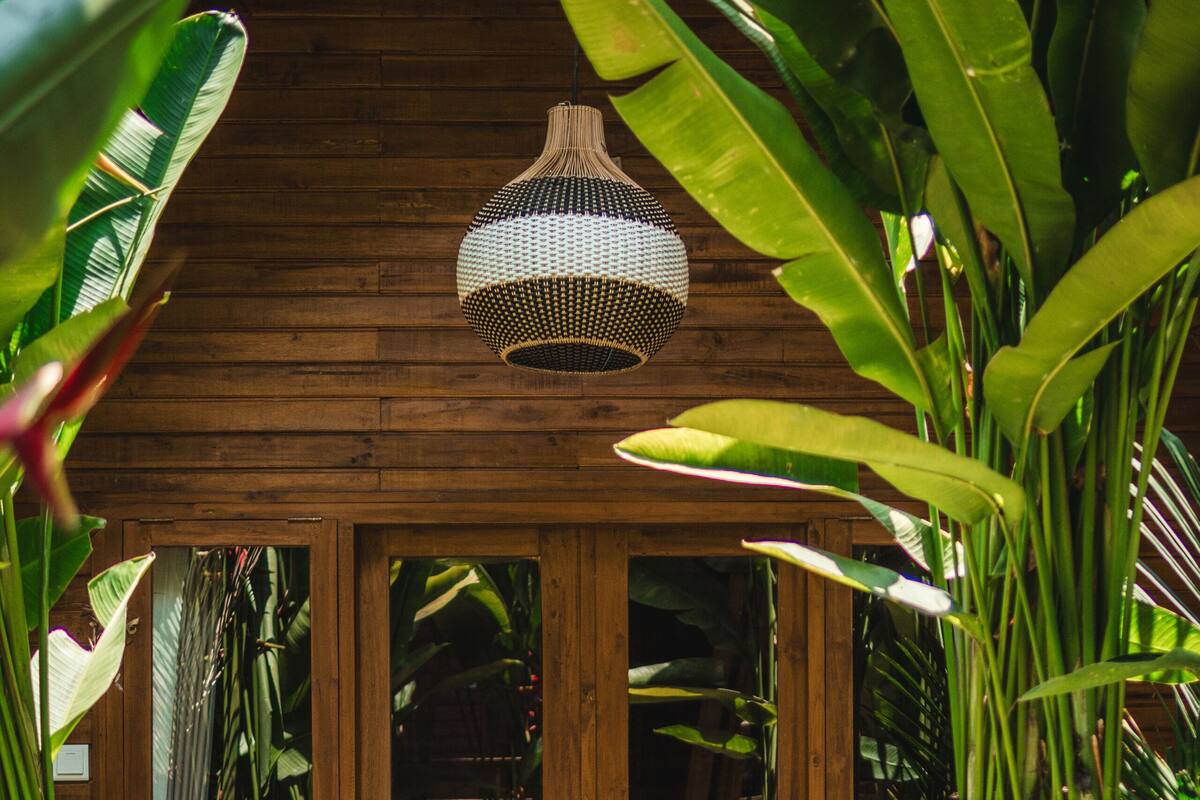 A wooden cabin with a glass door, surrounded by lush tropical plants.