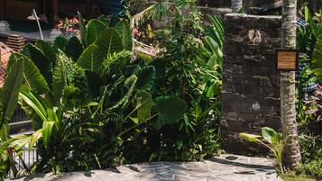 A traditional stone pool surrounded by lush greenery and a stone pathway.