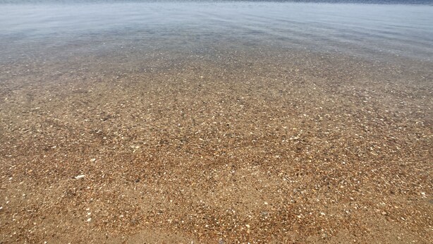 En lys strand med synlige sten og roligt vand.