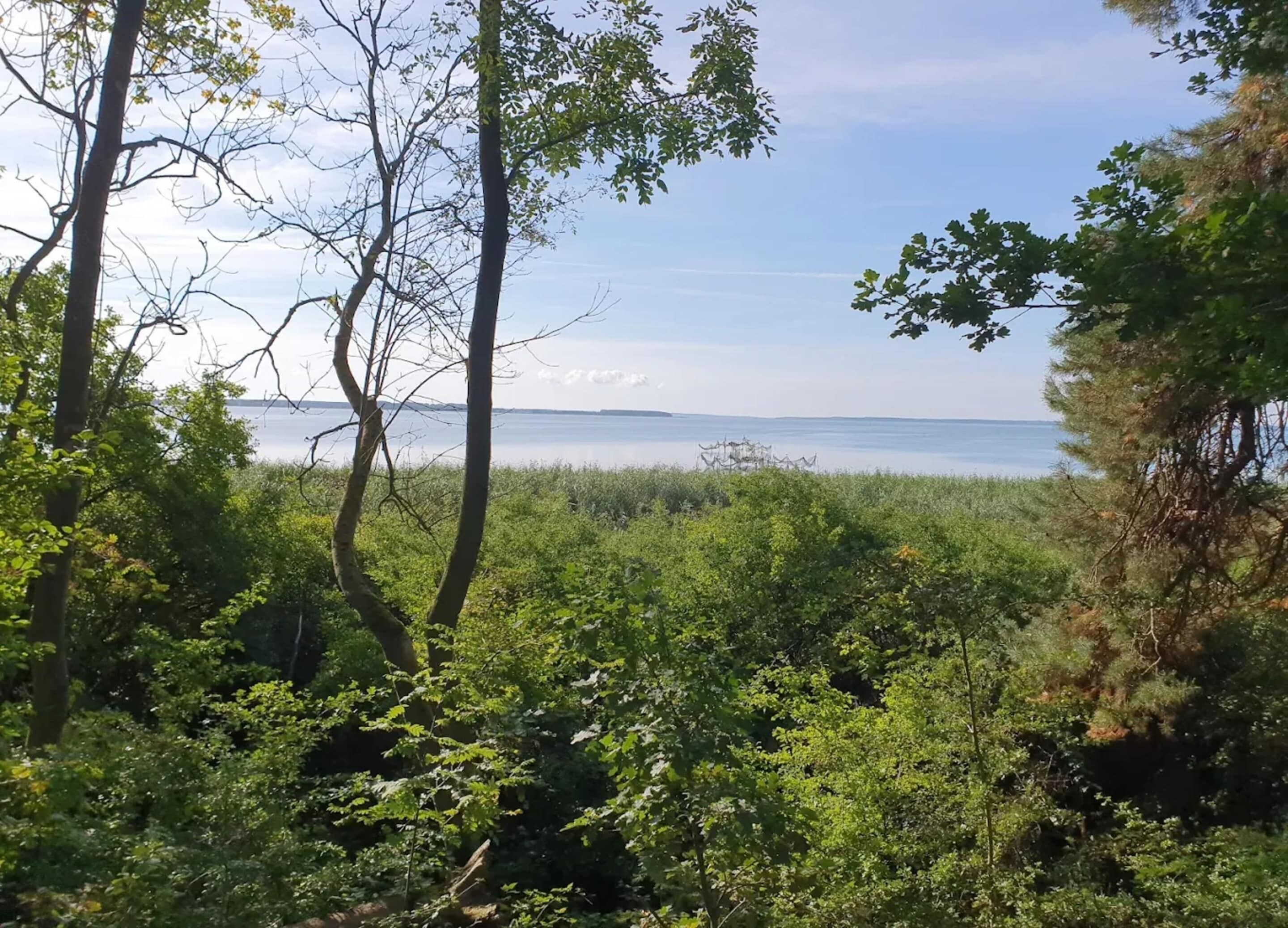 A natural landscape with dense vegetation and a view of a calm body of water in the distance.