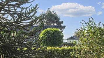 House | View from property