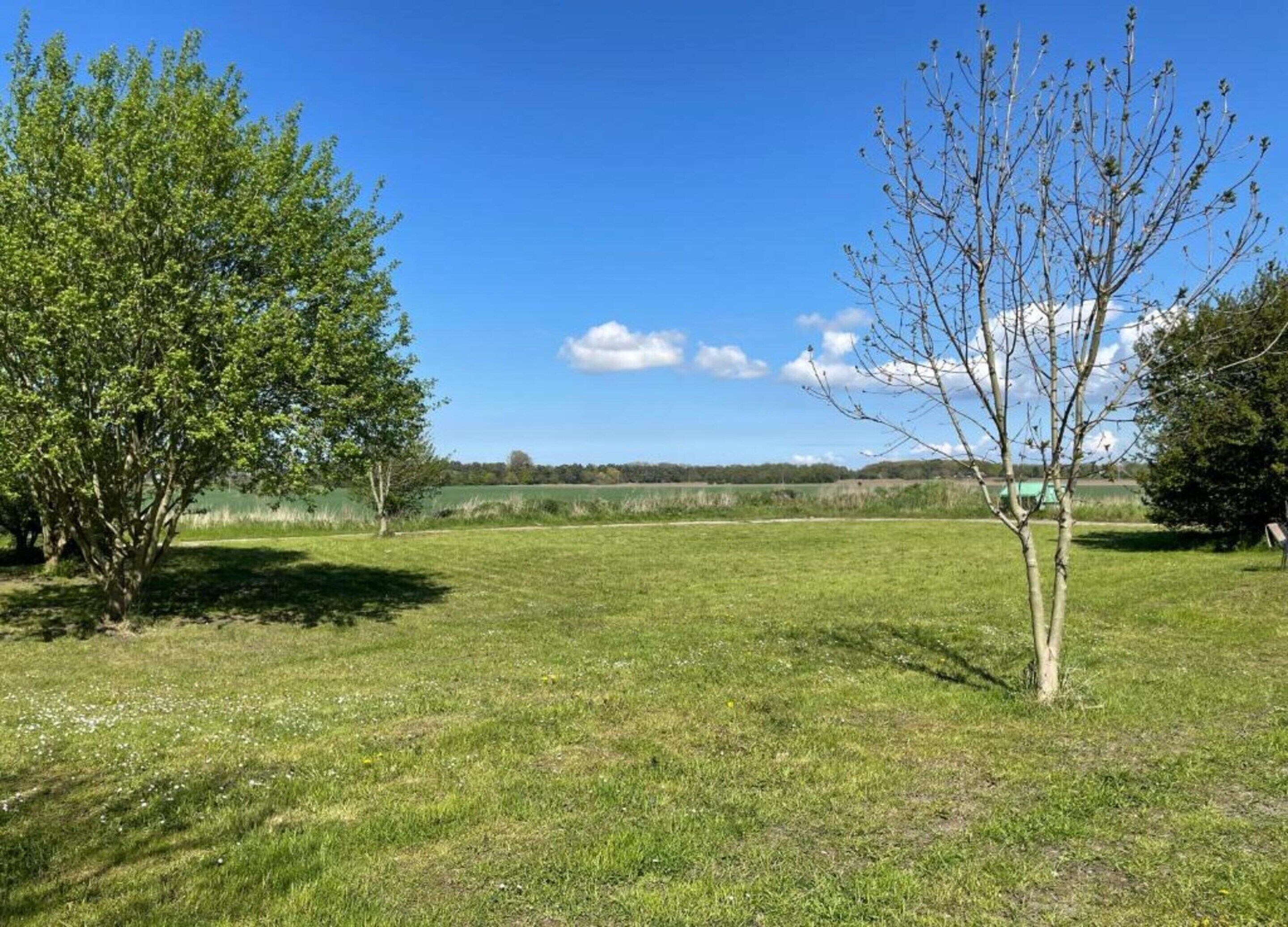 A grassy field with a few trees and a clear blue sky.