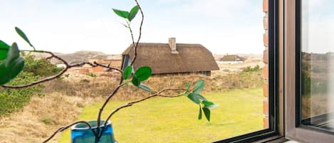 A window view of a rural landscape with a thatched-roof house, a clear sky, and a blue vase on a windowsill.