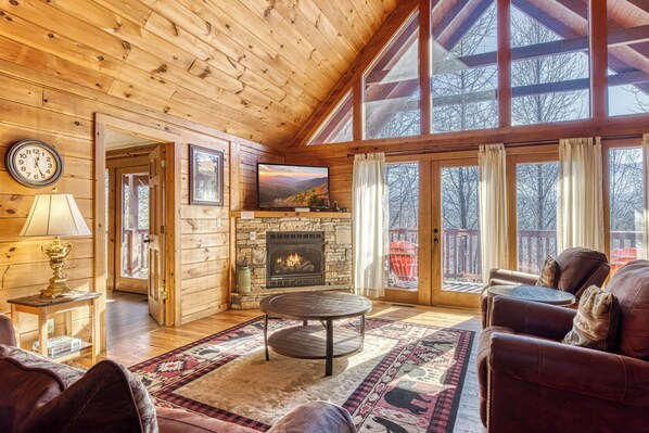 TV, fireplace, video games