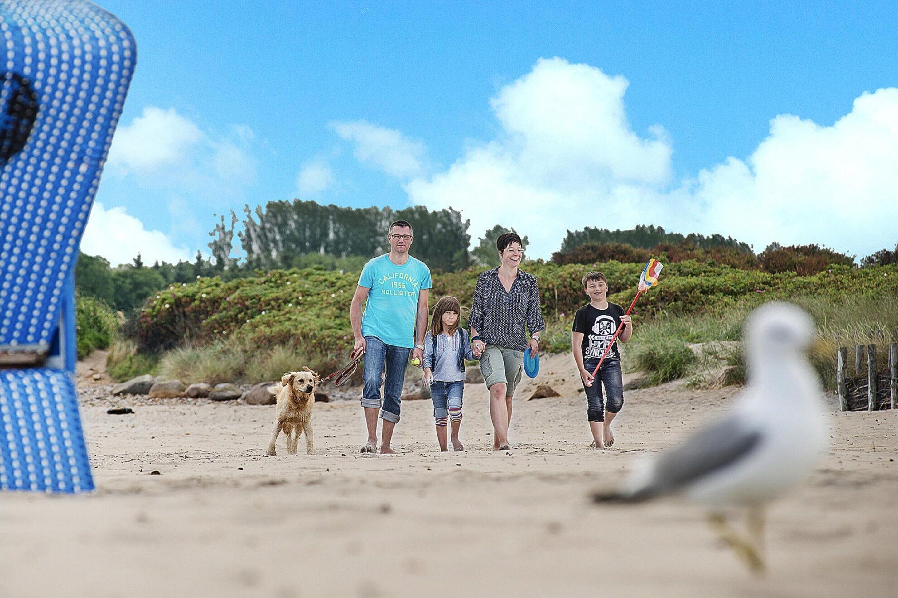 A sandy beach with a group of people and a dog.
