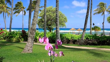 Villa, Accessible | 4 bedrooms, Internet