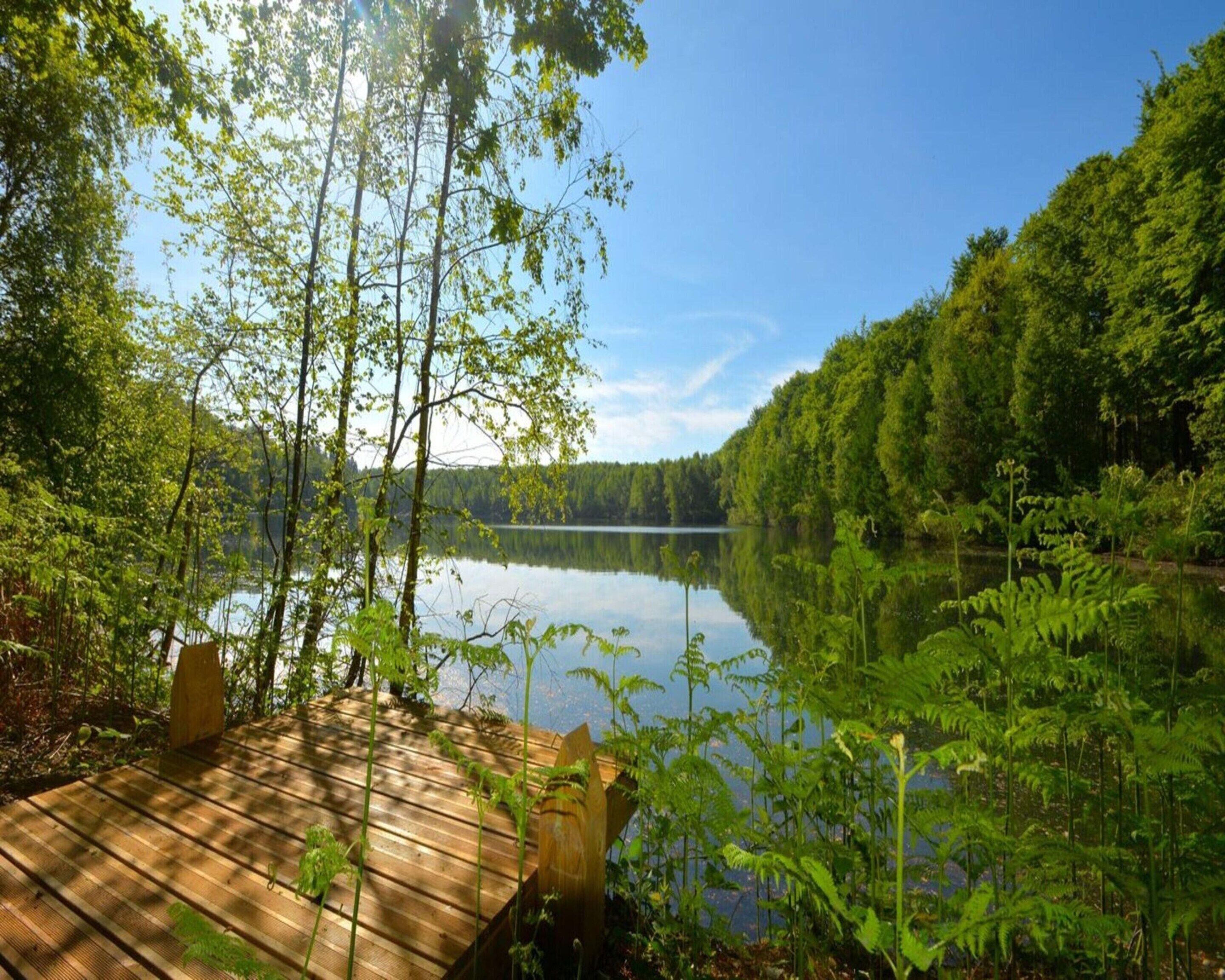 Comfort Cottage, 1 Bedroom | View from property