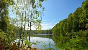 A wooden dock extending into a calm lake surrounded by dense forest. - Lakeside Luxury Mansion (Antoing)
