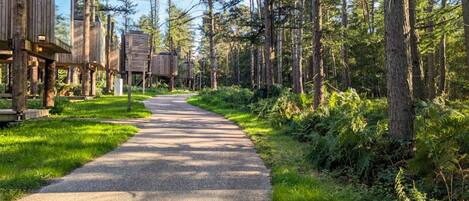 A forest path leading to wooden structures with elevated platforms, surrounded by tall trees and greenery.