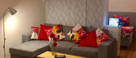 Smart TV, DVD player, books, video library