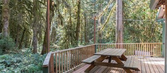 Family Cabin, secluded, hot tub, pet friendly, walk to the Salmon River Trail