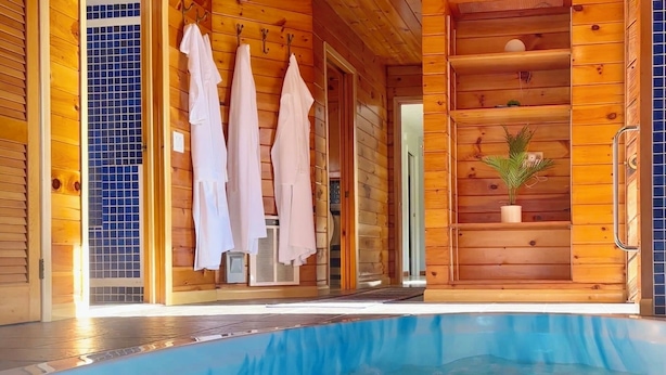 Een houten blokhut met een jacuzzi, handdoeken aan haken en een klein plantje op een plank.