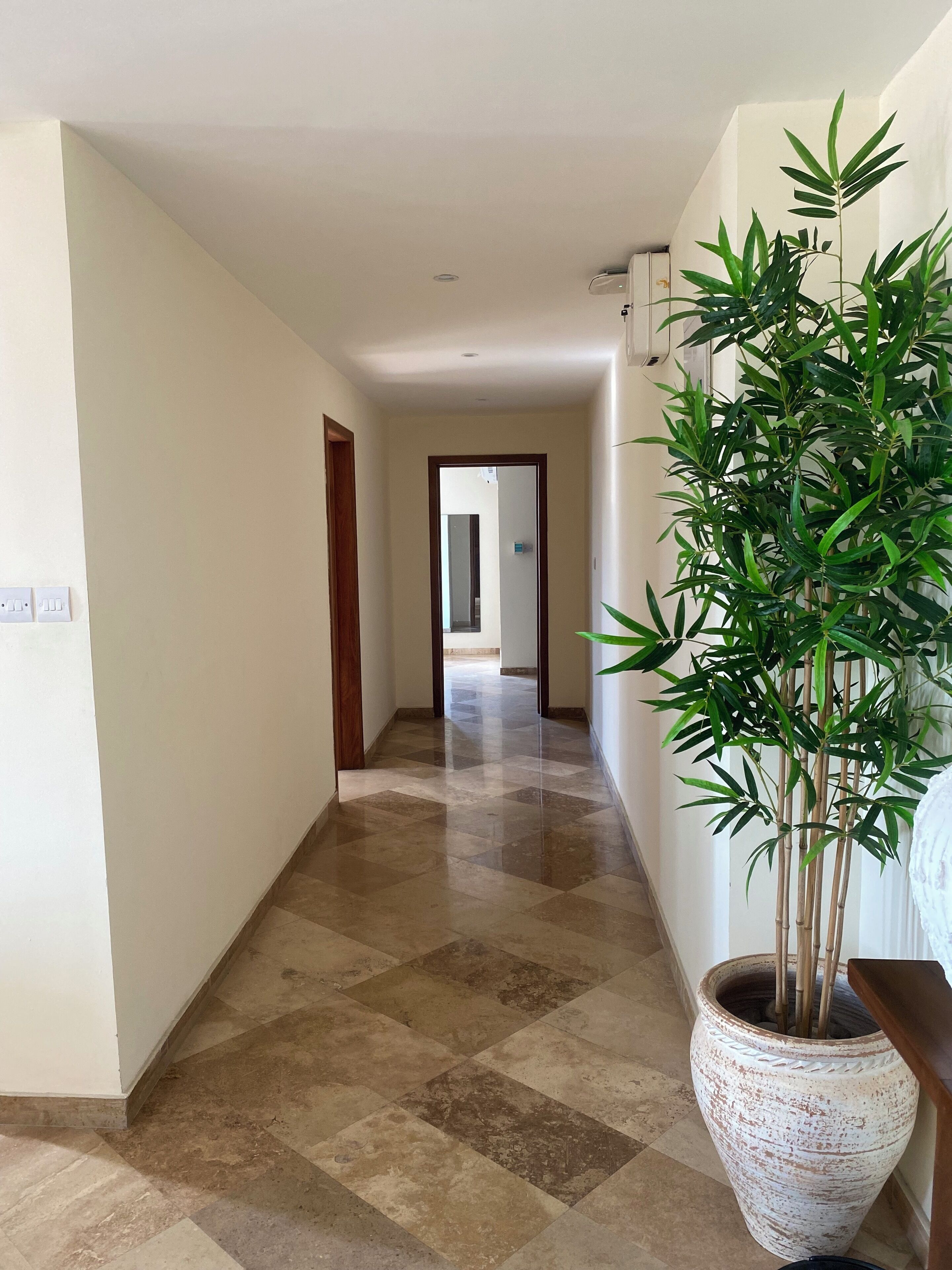 Un couloir avec un sol à carreaux, une grande plante en pot et une porte donnant sur une autre pièce.