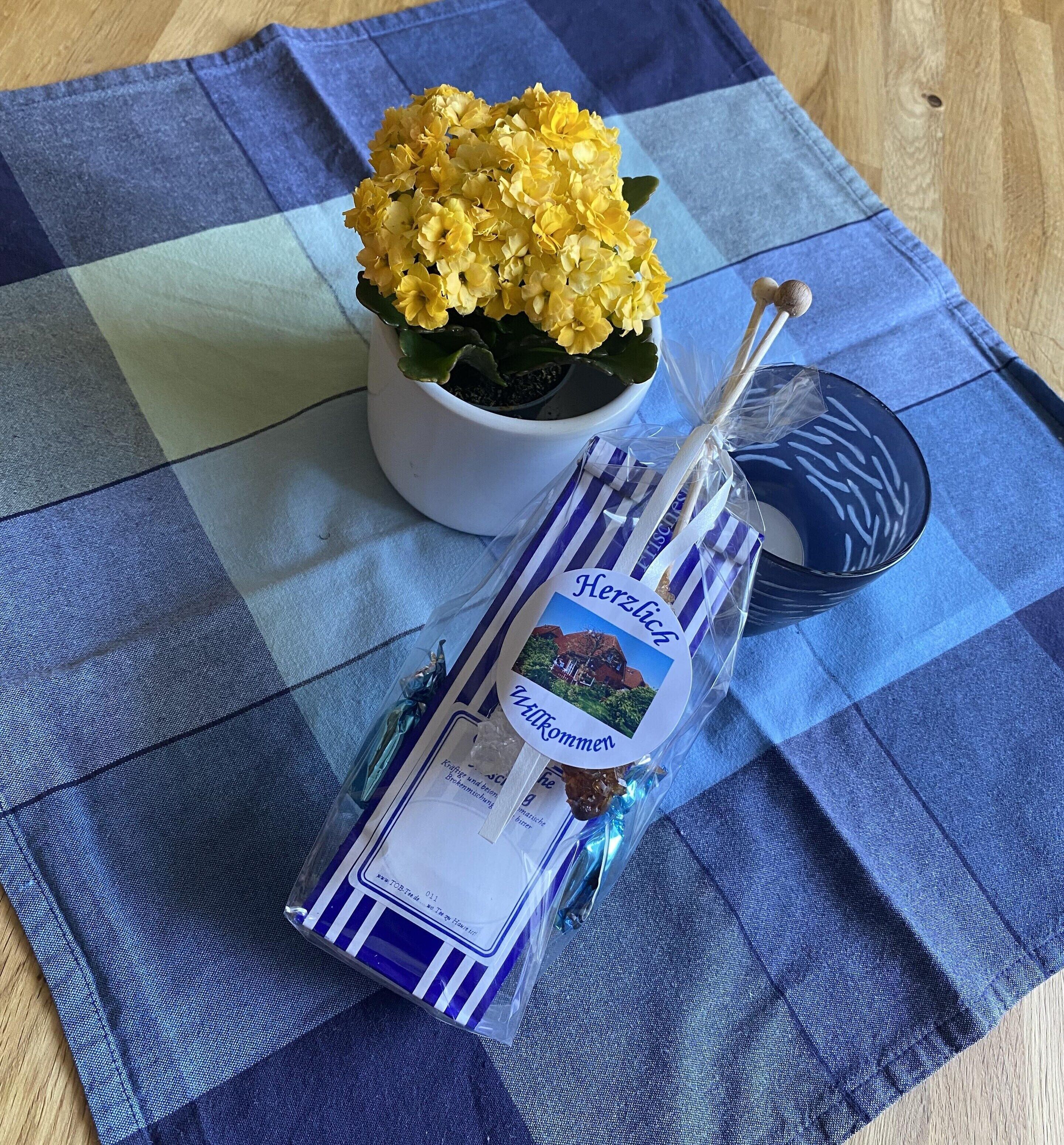 A potted yellow hydrangea plant on a blue and white checkered tablecloth.