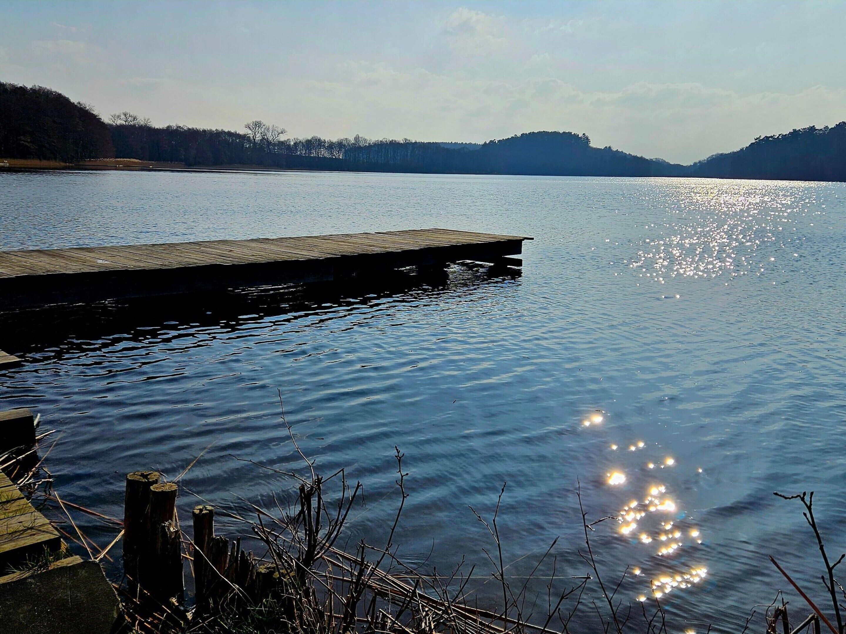 Un lago tranquillo con un molo di legno che si protende nell'acqua.