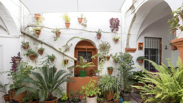 Property grounds - Casa Cuna - Apartment In Arcos De La Frontera (Arcos de la Frontera)