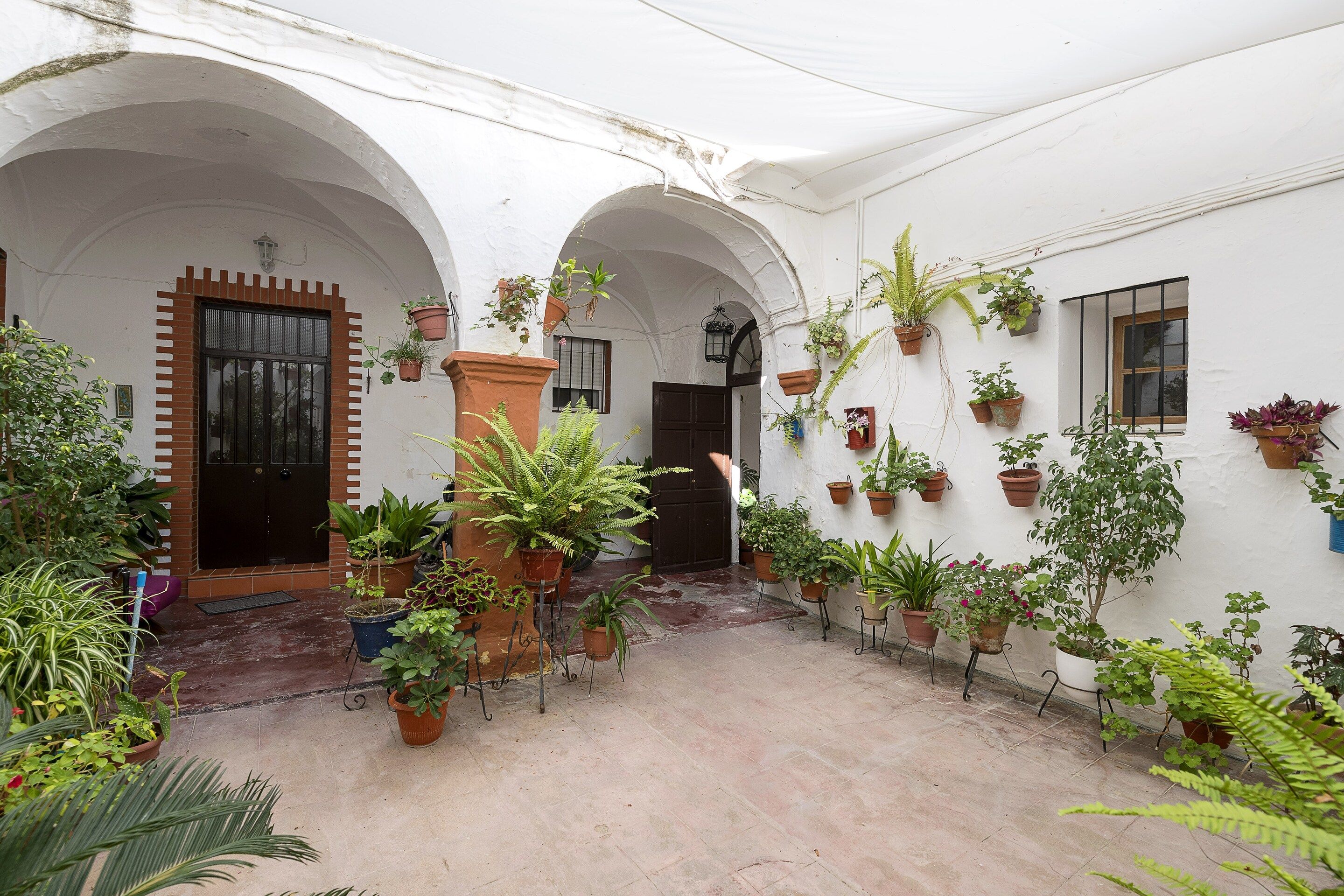 Un patio con paredes blancas, varios arcos y diversas macetas con plantas.