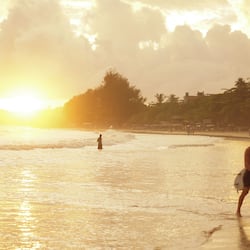 Surf/bodyboard