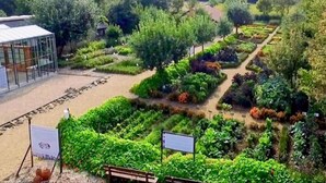 A garden with various plant beds and a glass structure. - Pet Friendly & Peaceful Stay (Beesel)