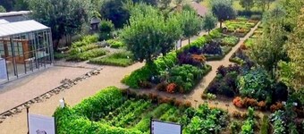 Pet Friendly & Peaceful Stay