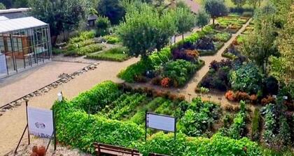 Pet Friendly & Peaceful Stay